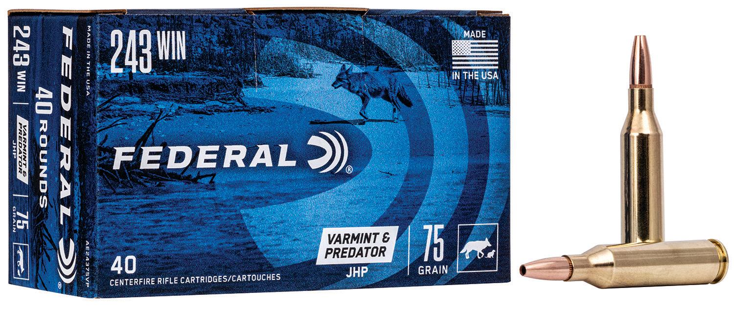 FED AMERICAN EAGLE V&P 243WIN 75GR JHP 40/5 - Sale